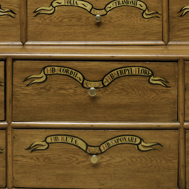 Běžný bylinný zázrak